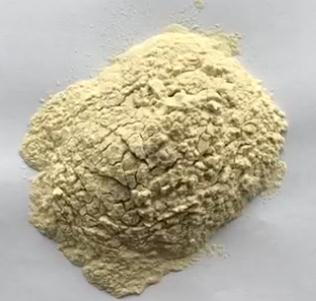 供應 小球藻提取物CGF （綠藻精） OD值1200-5000. 自有生產基地（白紙背景）